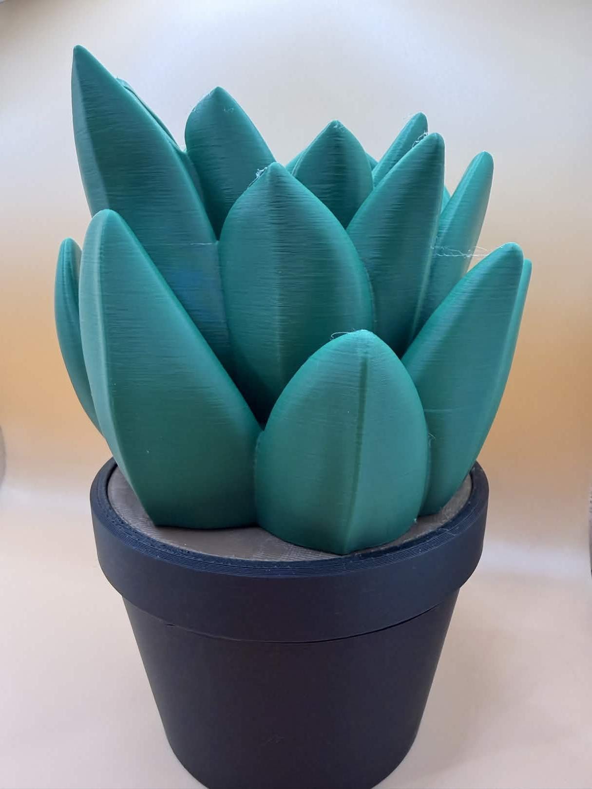 Succulent Bath and Body Works Soap Dispenser Holder