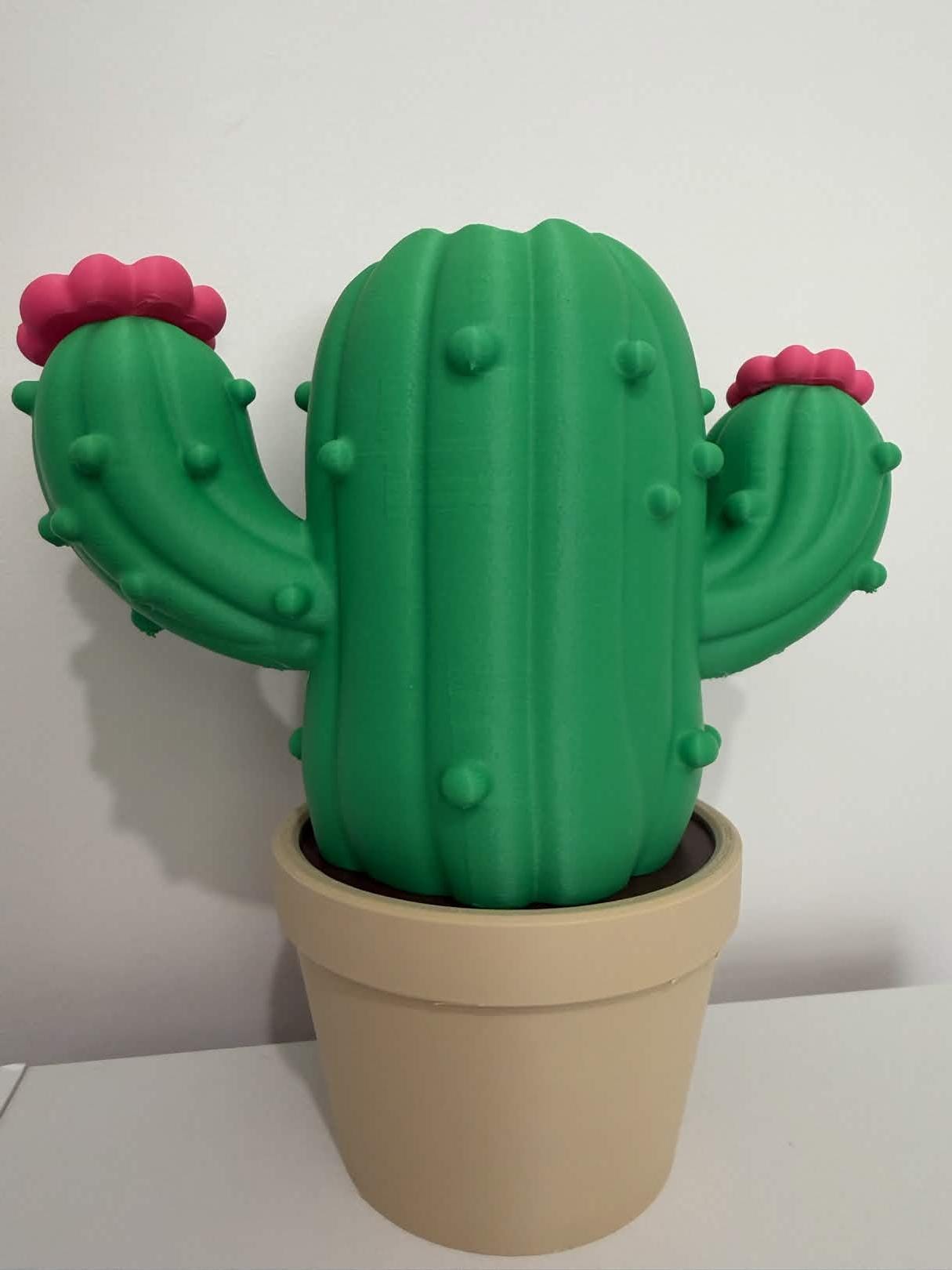 Cactus Bath and Body Works Soap Dispenser Holder