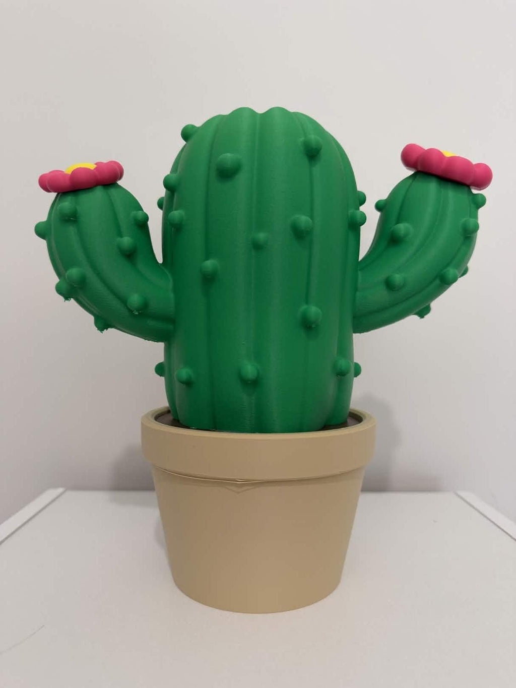 Cactus Bath and Body Works Soap Dispenser Holder