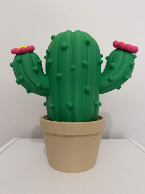 Cactus Bath and Body Works Soap Dispenser Holder