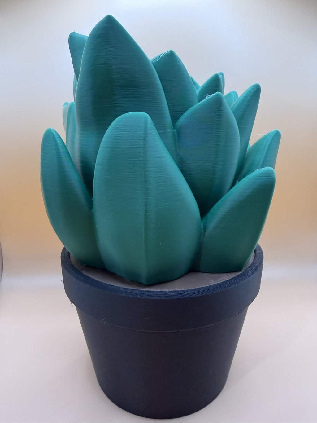 Succulent Bath and Body Works Soap Dispenser Holder