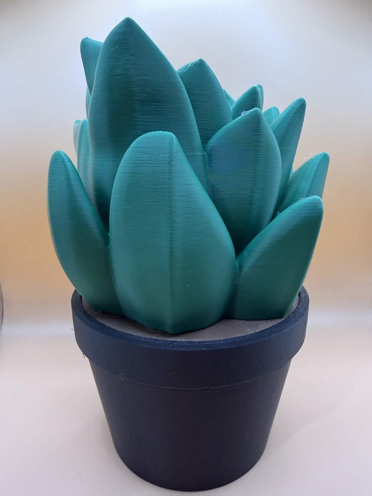 Succulent Bath and Body Works Soap Dispenser Holder
